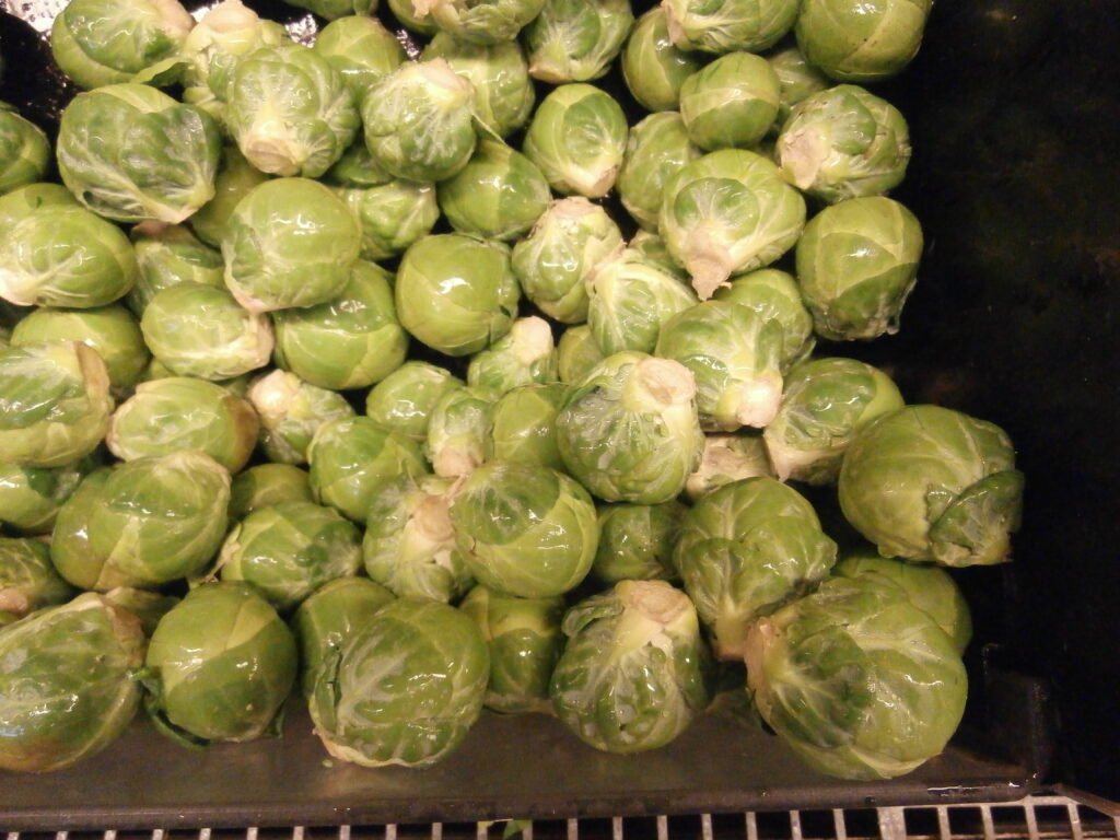 Fresh brussel sprouts pictured for Dog Eat Guide safety article