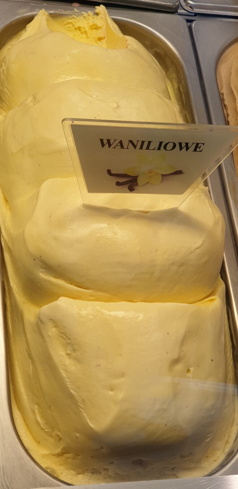 Photo of ice cream for Dog Eat Guide food safety article