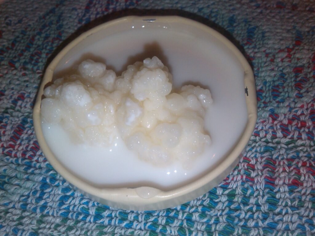 Photo of kefir illustrating the Dog Eat Guide food safety article
