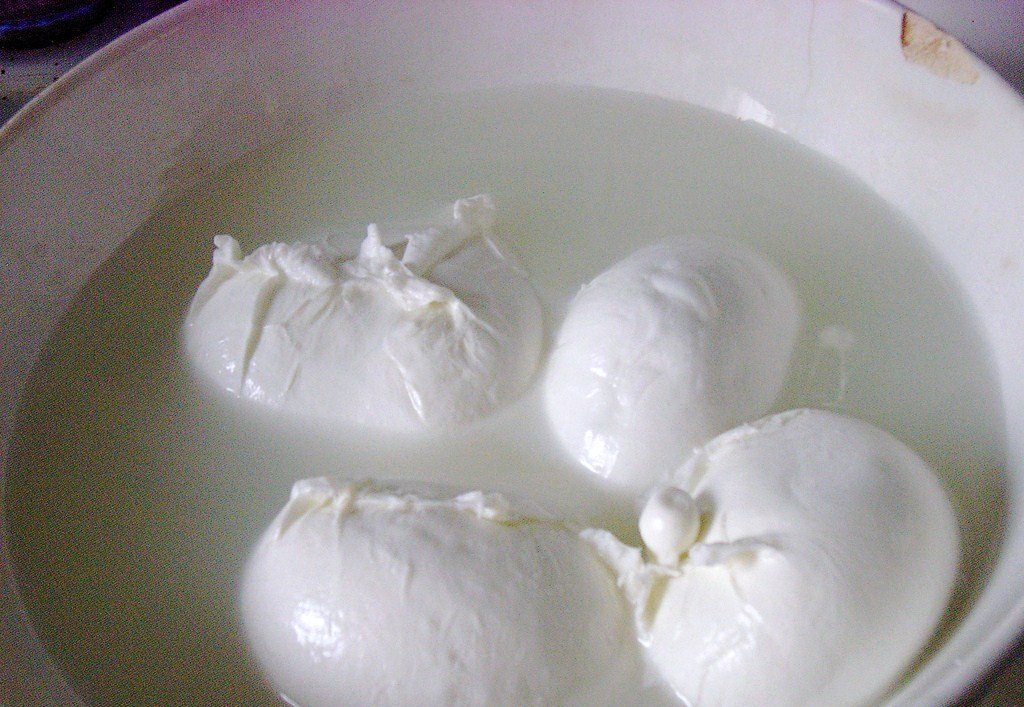 Illustration of mozzarella cheese for Dog Eat Guide feeding safety article