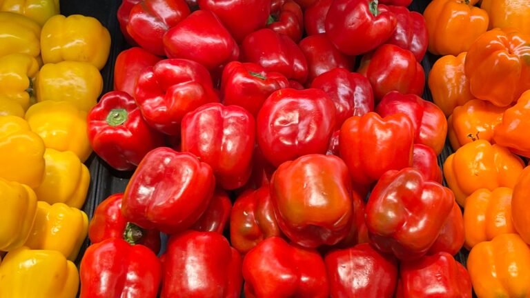Fresh peppers pictured for Dog Eat Guide safety article