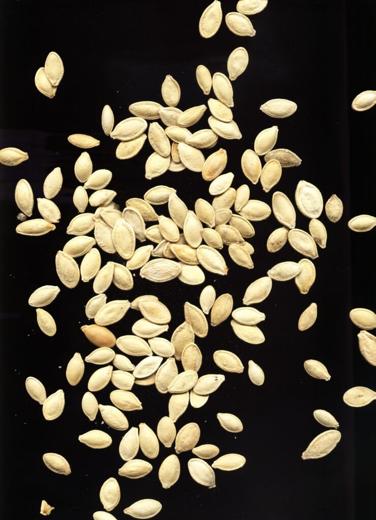 Photo of pumpkin seeds for Dog Eat Guide food safety article