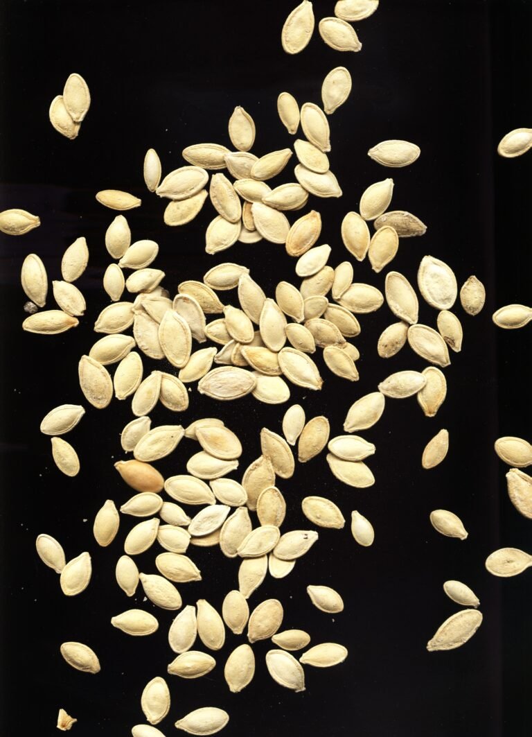 Photo of pumpkin seeds for Dog Eat Guide food safety article