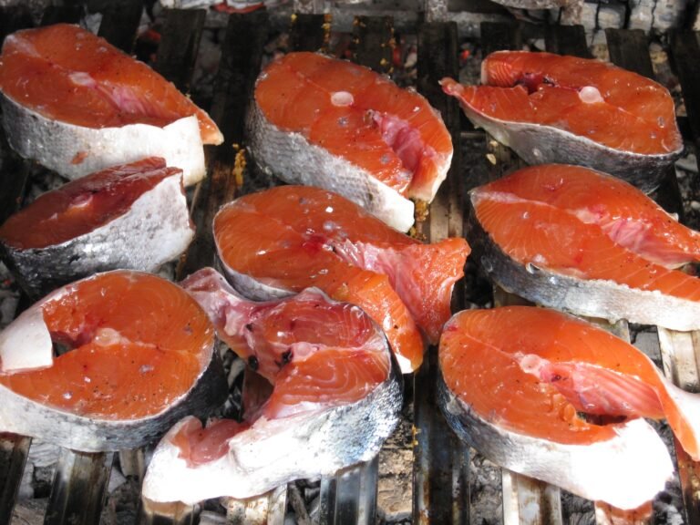 Raw salmon fillets illustrating raw fish feeding safety